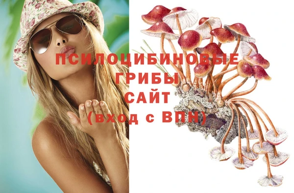 таблы Козловка