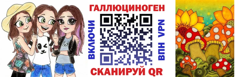 Псилоцибиновые грибы прущие грибы  Купить  Бабушкин 